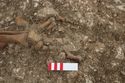 Thumbnail of Photo 23078 Skeleton 605410 feet