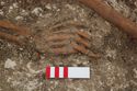 Thumbnail of Photo 23079 Skeleton 605410 right hand