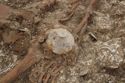 Thumbnail of Photo 23083 Skeleton 605410 shield boss oblique no scale
