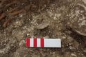 Thumbnail of Photo 23085 Skeleton 605410 shield fittings