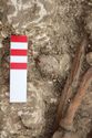 Thumbnail of Photo 23087 Skeleton 605410 shield fittings plan