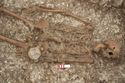Thumbnail of Photo 23093 Skeleton 605410 torso