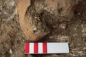 Thumbnail of Photo 23095 Skeleton 605410 teeth