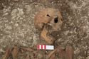 Thumbnail of Photo 23098 Skeleton 605410 skull oblique