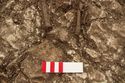 Thumbnail of Photo 24210 Skeleton 606467 feet