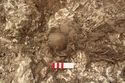 Thumbnail of Photo 24213 Skeleton 606467 skull view 2