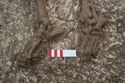 Thumbnail of Photo 25407 Skeleton 608432 feet