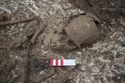 Thumbnail of Photo 25410 Skeleton 608432 skull left