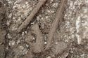 Thumbnail of Photo 25418 Skeleton 608432 Iron object no scale