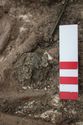 Thumbnail of Photo 25435 Skeleton 608432 Copper brooch right