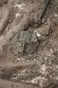 Thumbnail of Photo 25436 Skeleton 608432 Copper brooch right no scale
