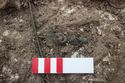 Thumbnail of Photo 25439 Skeleton 608432 Copper brooch left