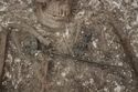 Thumbnail of Photo 25441 Skeleton 608432 abdomen