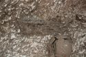 Thumbnail of Photo 25444 Skeleton 608432 charcoal near skull no scale
