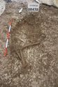 Thumbnail of Photo 26134 Skeleton 608438 overview