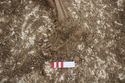 Thumbnail of Photo 26136 Skeleton 608438 feet