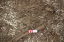 Thumbnail of Photo 26137 Skeleton 608438 pelvis