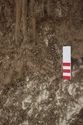 Thumbnail of Photo 26139 Skeleton 608438 left hand