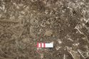 Thumbnail of Photo 26141 Skeleton 608438 skull