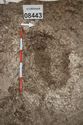 Thumbnail of Photo 26959 Skeleton 606569 overview