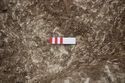 Thumbnail of Photo 26961 Skeleton 606569 feet