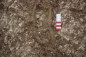 Thumbnail of Photo 26962 Skeleton 606569 knees