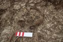 Thumbnail of Photo 26965 Skeleton 606569 skull
