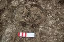 Thumbnail of Photo 26966 Skeleton 606569 skull