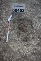 Thumbnail of Photo 27328 Skeleton 608452 overview