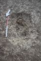 Thumbnail of Photo 27330 Skeleton 608452 overview no board