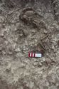 Thumbnail of Photo 27331 Skeleton 608452 detail