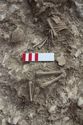 Thumbnail of Photo 27333 Skeleton 608452 pelvis