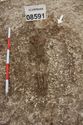Thumbnail of Photo 27811 Skeleton 608591 overview