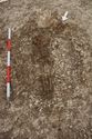 Thumbnail of Photo 27812 Skeleton 608591 overview no board
