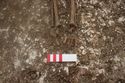 Thumbnail of Photo 27813 Skeleton 608591 feet