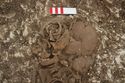 Thumbnail of Photo 27816 Skeleton 608591 skull