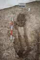 Thumbnail of Photo 28099 Skeleton 608596 overview