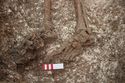 Thumbnail of Photo 28101 Skeleton 608596 feet