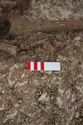Thumbnail of Photo 28106 Skeleton 608596 hand