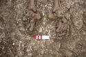 Thumbnail of Photo 28495 Skeleton 608688 feet