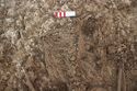 Thumbnail of Photo 29254 Skeleton 608604 abdomen