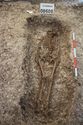 Thumbnail of Photo 29732 Skeleton 608608 overview