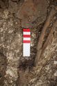 Thumbnail of Photo 29739 Skeleton 608608 Iron knife SF1774