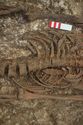 Thumbnail of Photo 29741 Skeleton 608608 abdomen