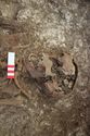 Thumbnail of Photo 29742 Skeleton 608608 skull