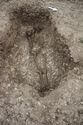 Thumbnail of Photo 30411 Skeleton 608612 overview no board