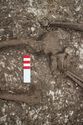 Thumbnail of Photo 30415 Skeleton 608612 pelvis