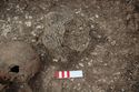 Thumbnail of Photo 30419 Skeleton 608612 vessel SF1175