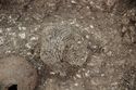 Thumbnail of Photo 30424 Skeleton 608612 vessel SF1175 oblique no scale