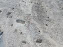 Thumbnail of GoPro 3376 Pole cam of posthole ring/roundhouse